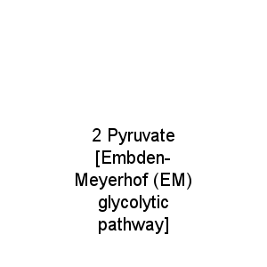 2 Pyruvate [Embden-Meyerhof (EM) glycolytic pathway]